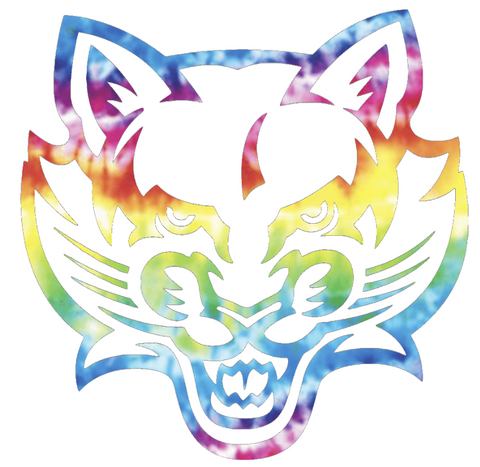 Binghampton Bearcats Team Logo Crucial Catch Cancer Tie Dye Vinyl Decal PICK SIZE