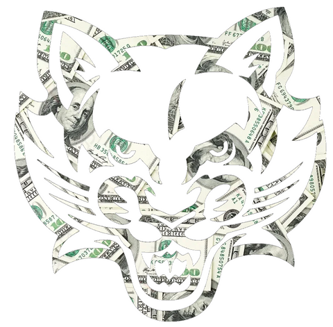Binghampton Bearcats Team Logo Money Print Premium DieCut Vinyl Decal PICK SIZE