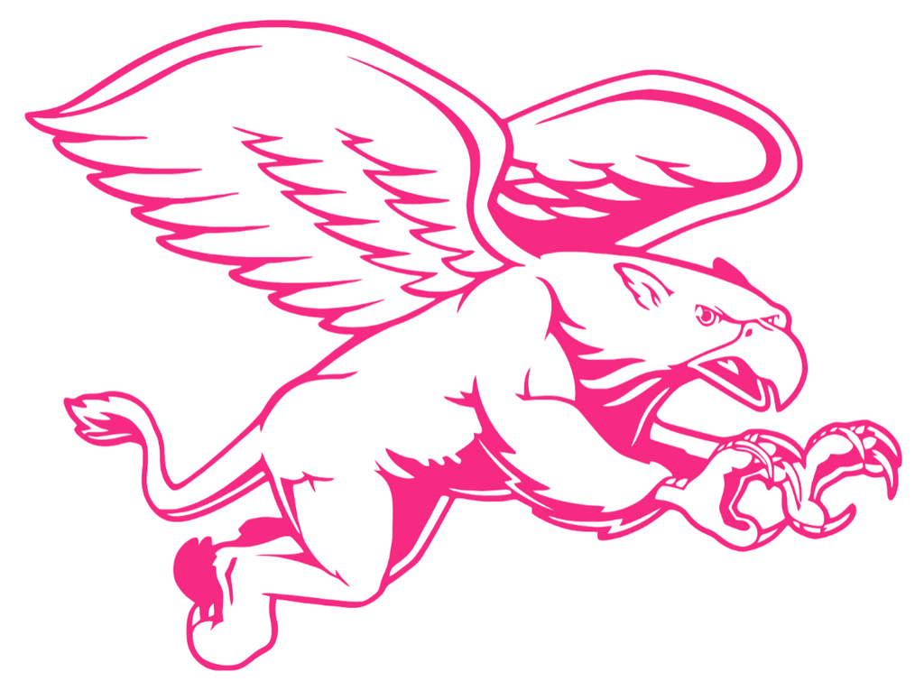 Canisius Golden Griffins HOT PINK Team Logo Premium DieCut Vinyl Decal PICK SIZE