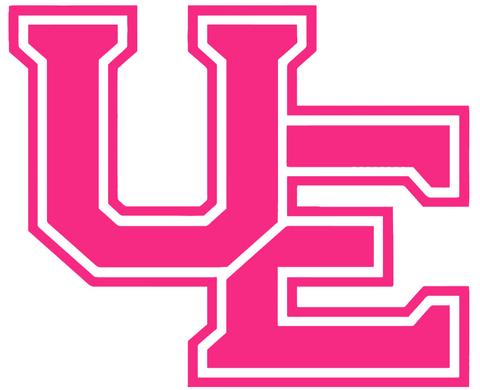 Evansville Purple Aces HOT PINK Team Logo Premium DieCut Vinyl Decal PICK SIZE