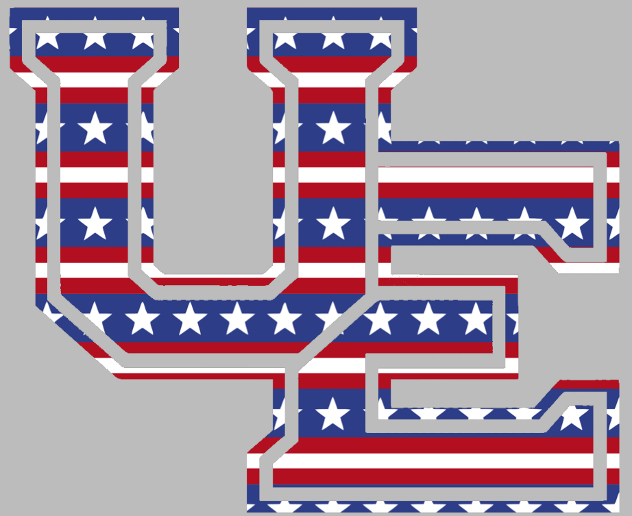 Evansville Purple Aces Team Logo Stars & Stripes USA American Flag Vinyl Decal PICK SIZE