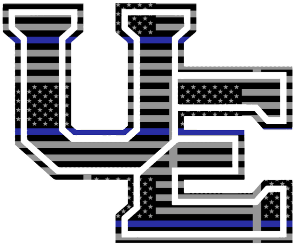 Evansville Purple Aces Team Logo Thin Blue Line American Flag Premium DieCut Vinyl Decal PICK SIZE