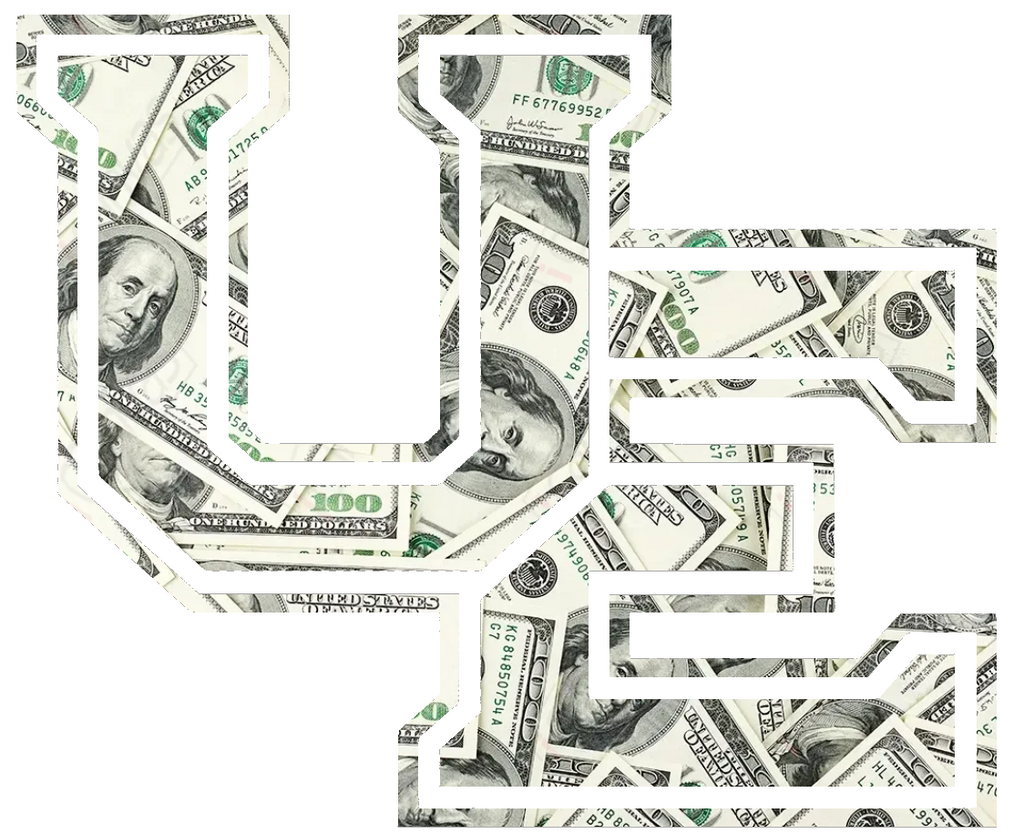 Evansville Purple Aces Team Logo Money Print Premium DieCut Vinyl Decal PICK SIZE