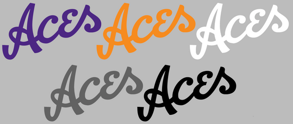 Evansville Purple Aces Team Name Logo Premium DieCut Vinyl Decal PICK COLOR & SIZE