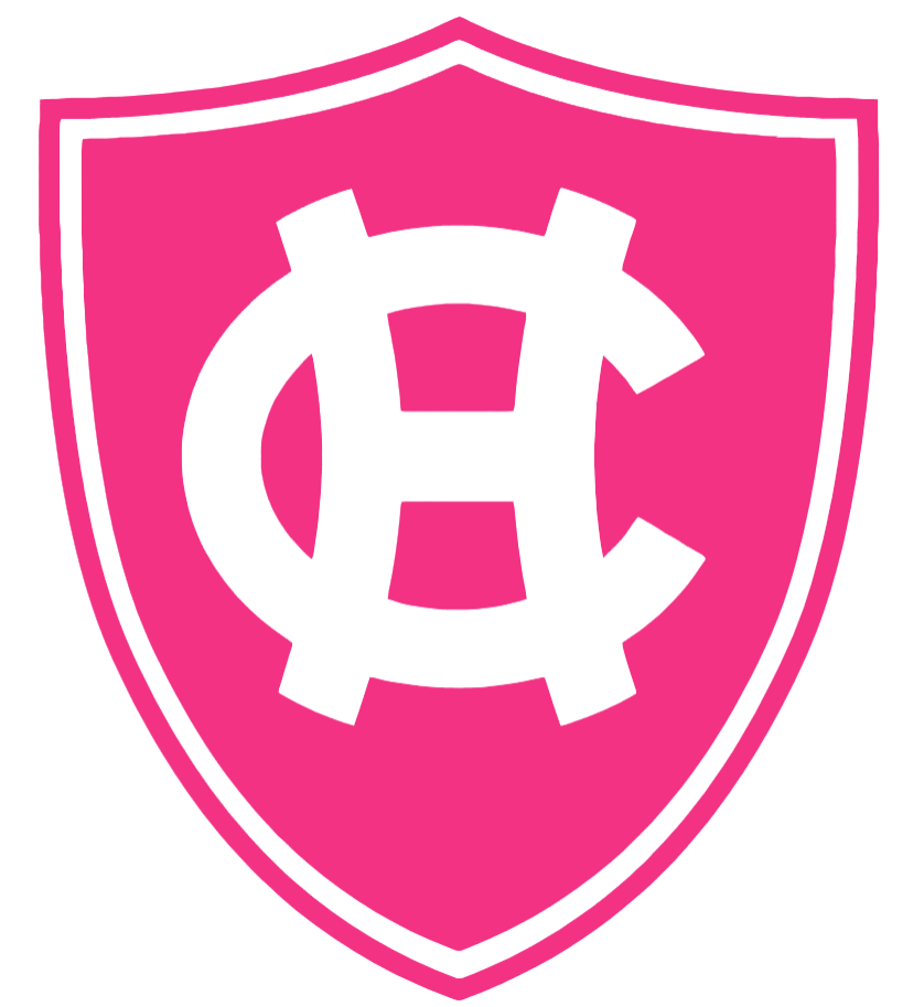 Holy Cross Crusaders HOT PINK Team Logo Premium DieCut Vinyl Decal PICK SIZE