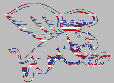 Canisius Golden Griffins Team Logo Stars & Stripes USA American Flag Vinyl Decal PICK SIZE