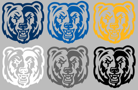California Riverside Highlanders Retro Throwback Logo Premium DieCut Vinyl Decal PICK COLOR & SIZE