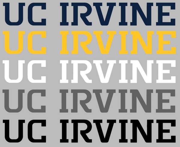 California Irvine Anteaters Team Name Logo Premium DieCut Vinyl Decal PICK COLOR & SIZE