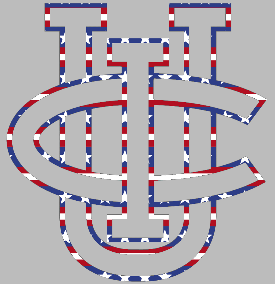 California Irvine Anteaters Team Logo Stars & Stripes USA American Flag Vinyl Decal PICK SIZE