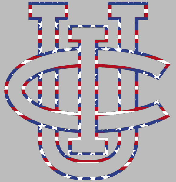 California Irvine Anteaters Team Logo Stars & Stripes USA American Flag Vinyl Decal PICK SIZE