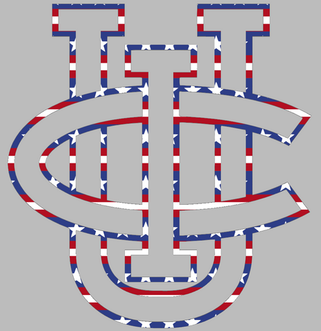 California Irvine Anteaters Team Logo Stars & Stripes USA American Flag Vinyl Decal PICK SIZE