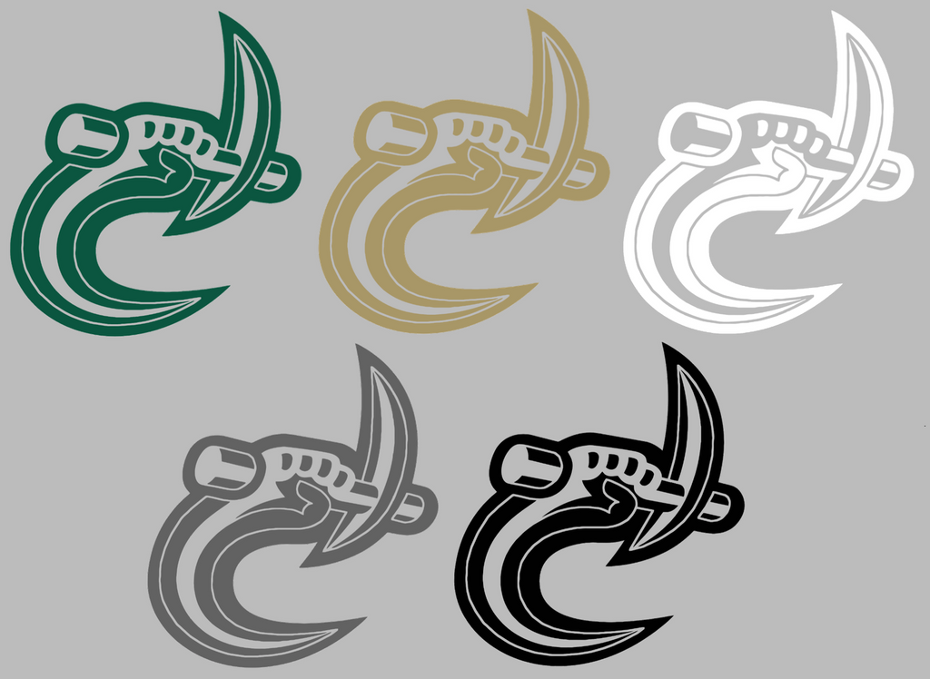Charlotte 49ers Retro Throwback Logo Premium DieCut Vinyl Decal PICK COLOR & SIZE