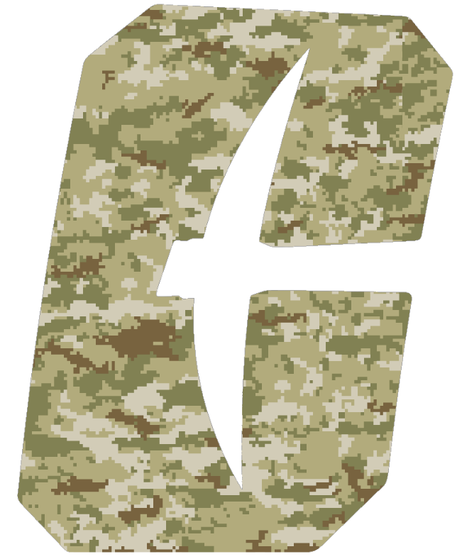 Charlotte 49ers Team Logo Salute to Service Camouflage Camo Vinyl Decal PICK SIZE