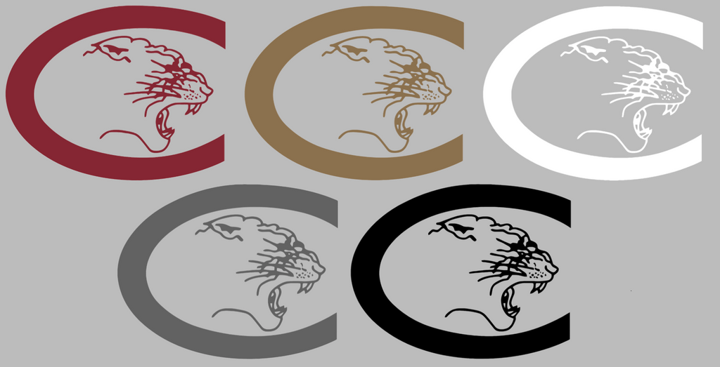 Charleston Cougars Retro Throwback Logo Premium DieCut Vinyl Decal PICK COLOR & SIZE