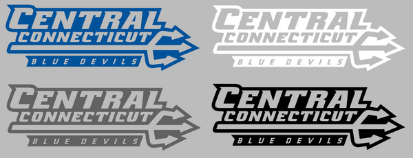 Central Connecticut Blue Devils Team Name Logo Premium DieCut Vinyl Decal PICK COLOR & SIZE