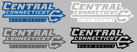 Central Connecticut Blue Devils Team Name Logo Premium DieCut Vinyl Decal PICK COLOR & SIZE