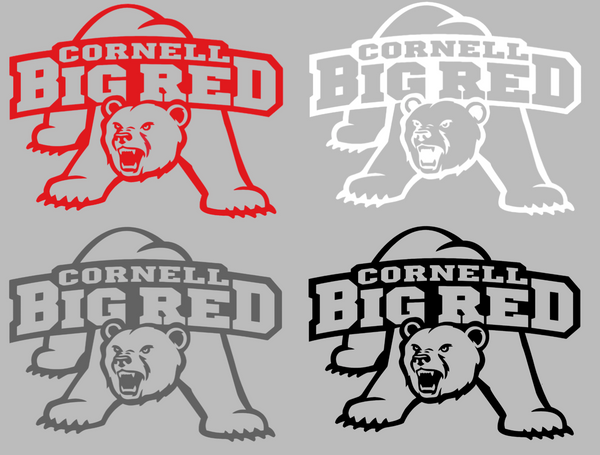 Cornell Big Red Retro Throwback Logo Premium DieCut Vinyl Decal PICK COLOR & SIZE