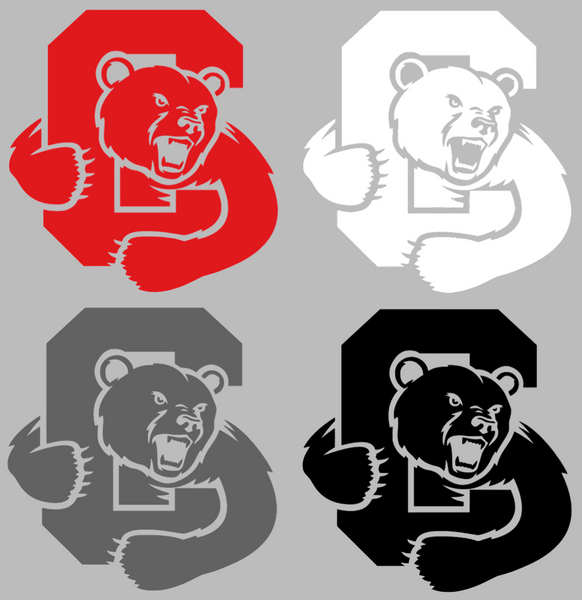 Cornell Big Red Team Logo Premium DieCut Vinyl Decal PICK COLOR & SIZE