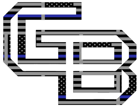Wisconsin Green Bay Phoenix Team Logo Thin Blue Line American Flag Premium DieCut Vinyl Decal PICK SIZE