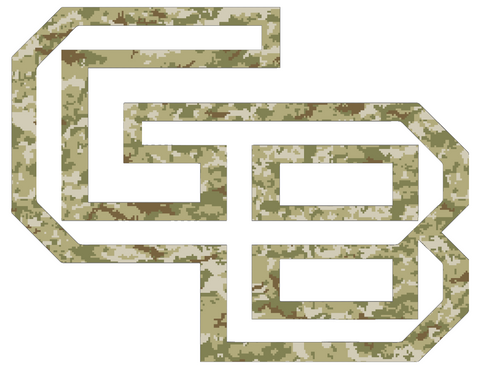 Wisconsin Green Bay Phoenix Team Logo Salute to Service Camouflage Camo Vinyl Decal PICK SIZE