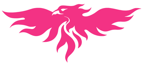 Wisconsin Green Bay Phoenix HOT PINK Alternate Logo Premium DieCut Vinyl Decal PICK SIZE