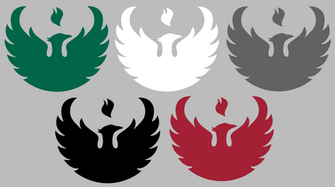 Wisconsin Green Bay Phoenix Retro Throwback Logo Premium DieCut Vinyl Decal PICK COLOR & SIZE