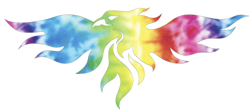 Wisconsin Green Bay Phoenix Alternate Logo Crucial Catch Cancer Tie Dye Vinyl Decal PICK SIZE