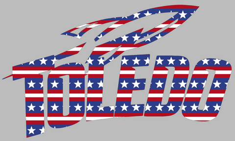 Toledo Rockets Team Name Logo Stars & Stripes USA American Flag Vinyl Decal PICK SIZE