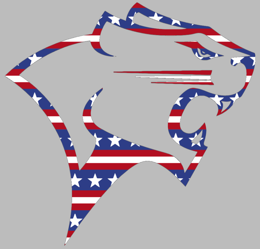 Chicago State Cougars Team Logo Stars & Stripes USA American Flag Vinyl Decal PICK SIZE