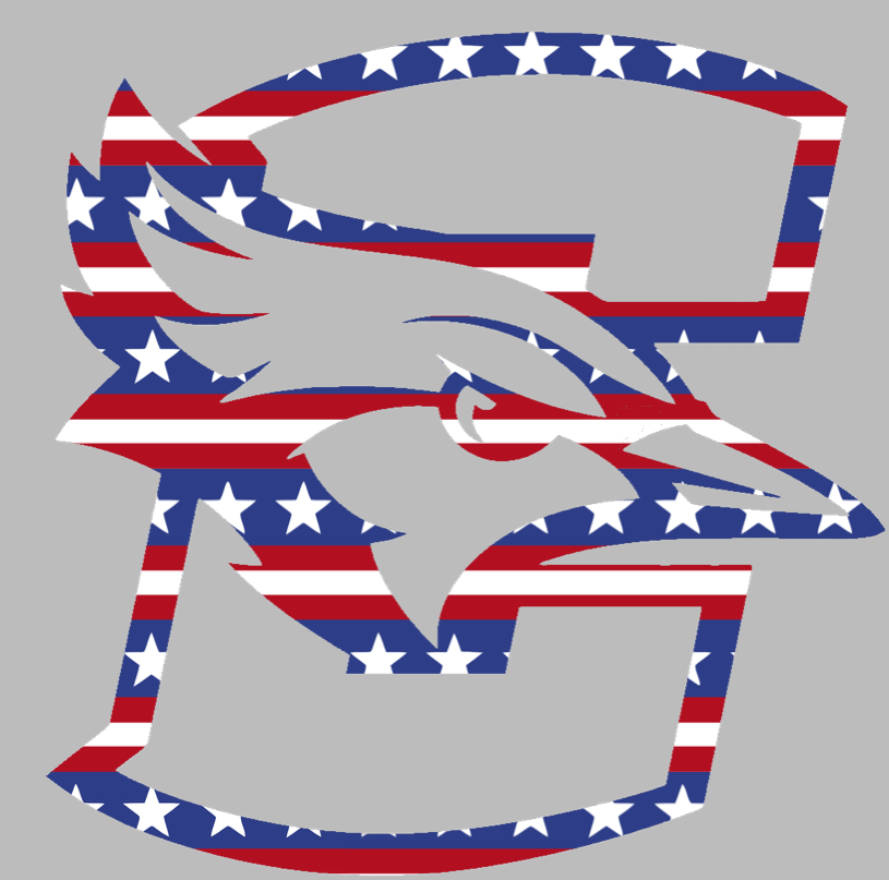 Creighton Blue Jays Team Logo Stars & Stripes USA American Flag Vinyl Decal PICK SIZE