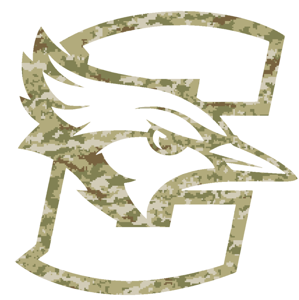 Creighton Blue Jays Team Logo Salute to Service Camouflage Camo Vinyl Decal PICK SIZE