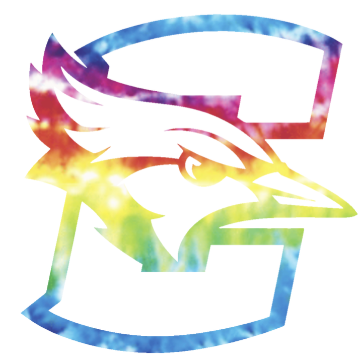 Creighton Blue Jays Team Logo Crucial Catch Cancer Tie Dye Vinyl Decal PICK SIZE