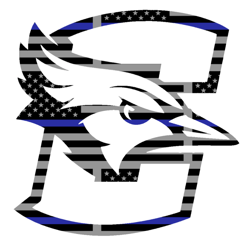 Creighton Blue Jays Team Logo Thin Blue Line American Flag Premium DieCut Vinyl Decal PICK SIZE