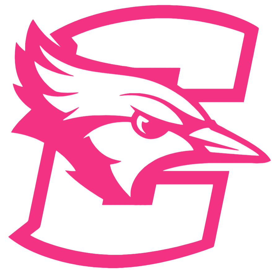 Creighton Blue Jays HOT PINK Team Logo Premium DieCut Vinyl Decal PICK SIZE