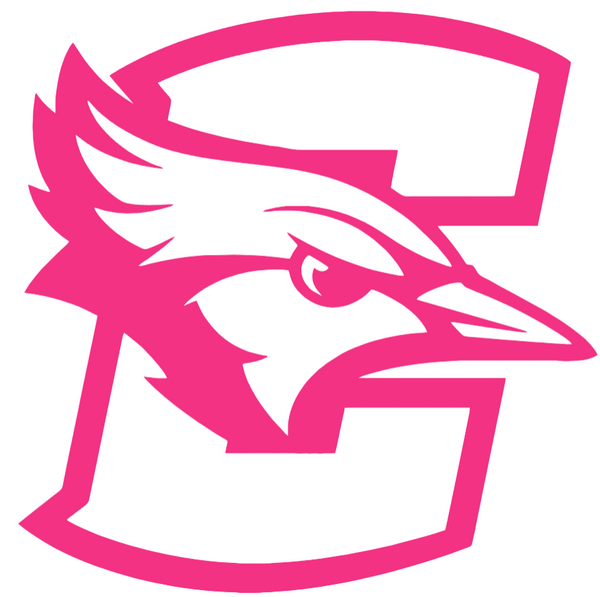 Creighton Blue Jays HOT PINK Team Logo Premium DieCut Vinyl Decal PICK SIZE