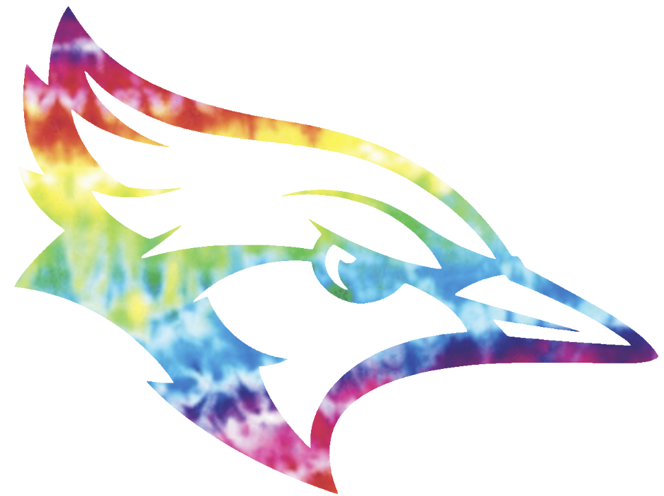 Creighton Blue Jays Mascot Logo Crucial Catch Cancer Tie Dye Vinyl Decal PICK SIZE