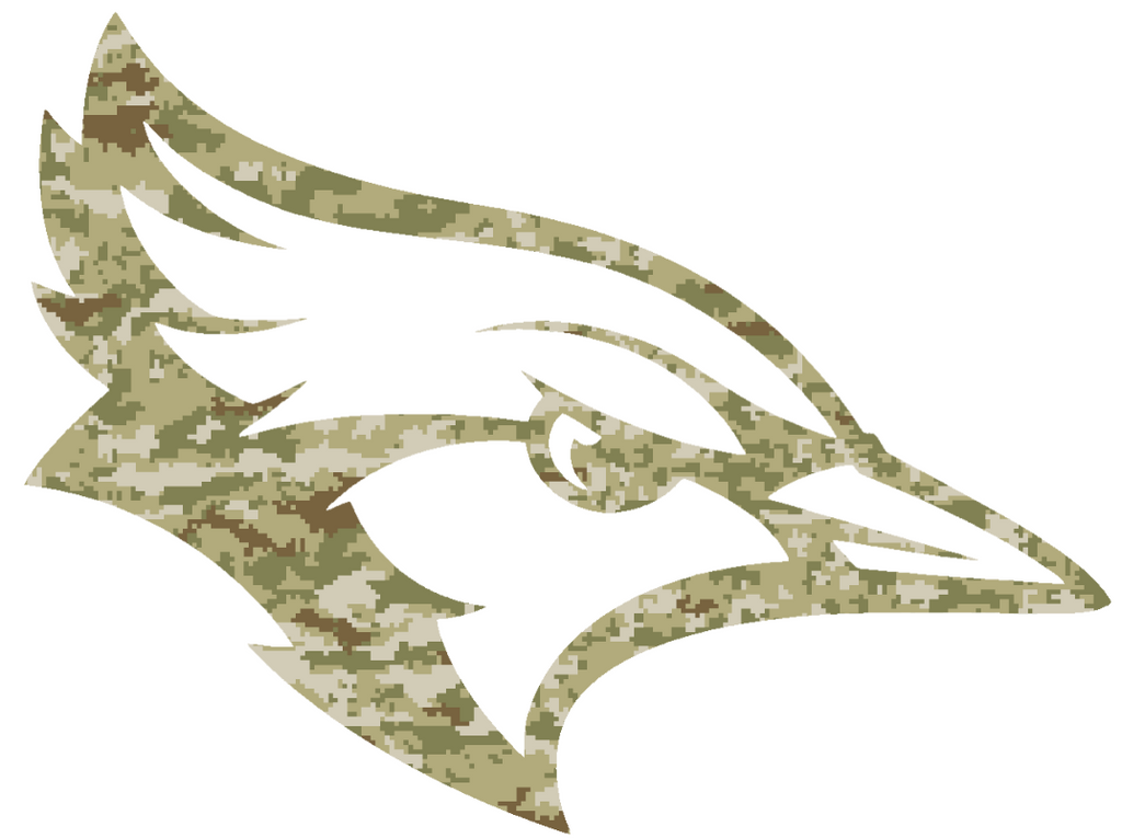 Creighton Blue Jays Mascot Logo Salute to Service Camouflage Camo Vinyl Decal PICK SIZE