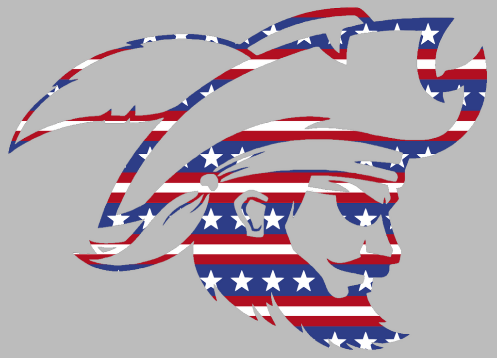 CSU Buccaneers Team Logo Stars & Stripes USA American Flag Vinyl Decal PICK SIZE