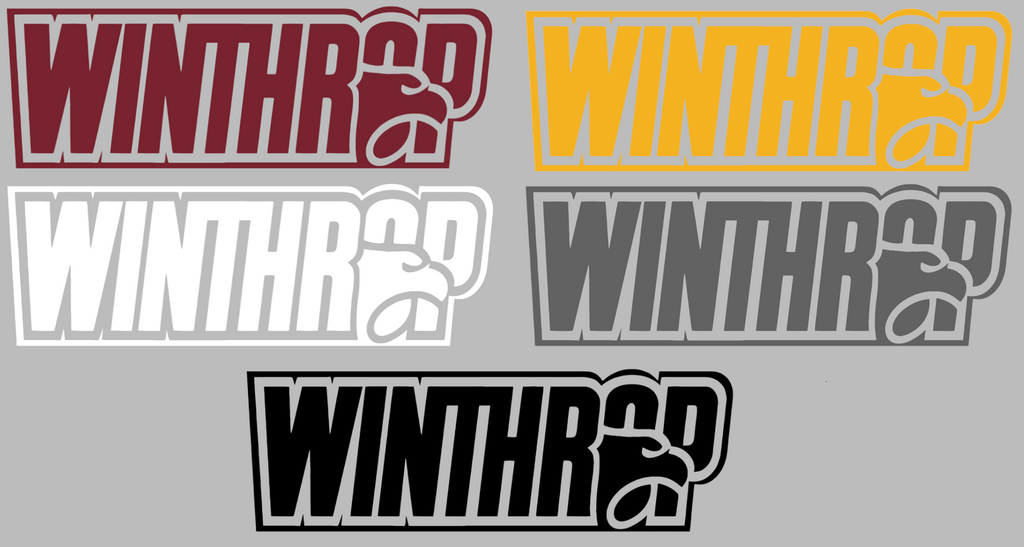 Winthrop Eagles Team Name Logo Premium DieCut Vinyl Decal PICK COLOR & SIZE