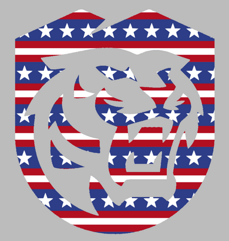 Colorado College Tigers Team Logo Stars & Stripes USA American Flag Vinyl Decal PICK SIZE