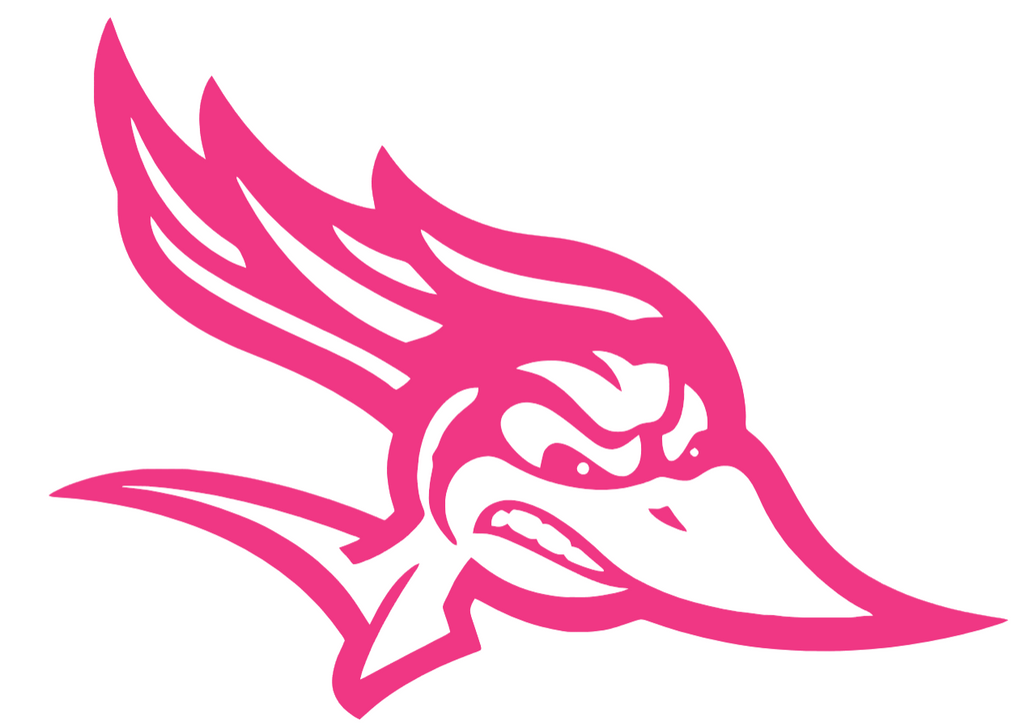 CSU Bakersfield Roadrunners HOT PINK Team Logo Premium DieCut Vinyl Decal PICK SIZE
