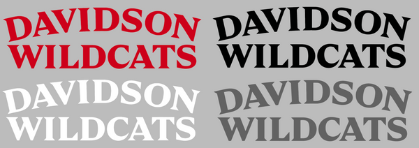 Davidson Wildcats Team Name Logo Premium DieCut Vinyl Decal PICK COLOR & SIZE