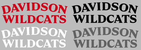 Davidson Wildcats Team Name Logo Premium DieCut Vinyl Decal PICK COLOR & SIZE