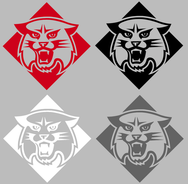 Davidson Wildcats Retro Throwback Logo Premium DieCut Vinyl Decal PICK COLOR & SIZE