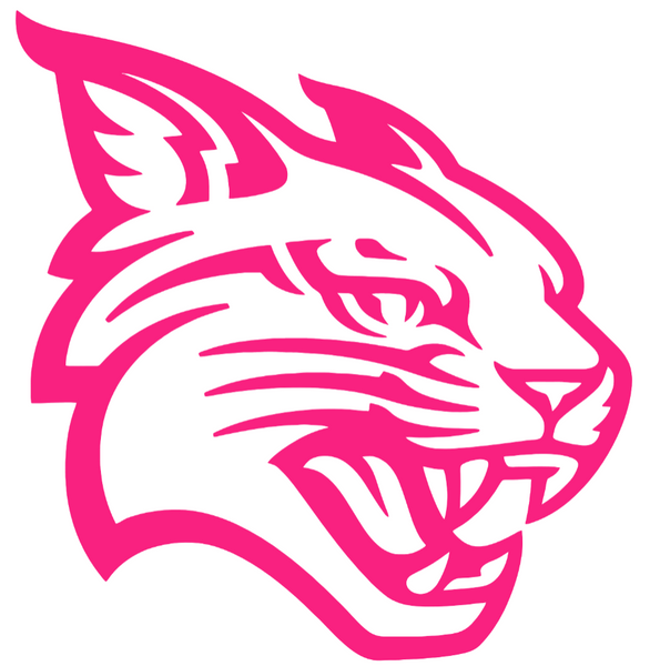 Davidson Wildcats HOT PINK Team Logo Premium DieCut Vinyl Decal PICK SIZE