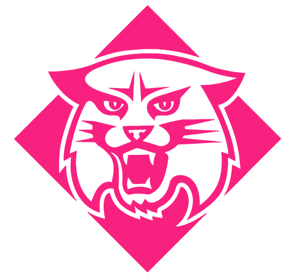 Davidson Wildcats HOT PINK Retro Throwback Logo Premium DieCut Vinyl Decal PICK SIZE