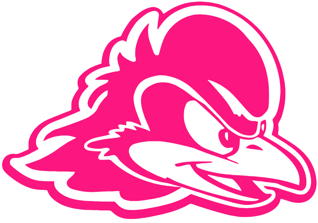 Delaware Blue Hens HOT PINK Team Logo Premium DieCut Vinyl Decal PICK SIZE
