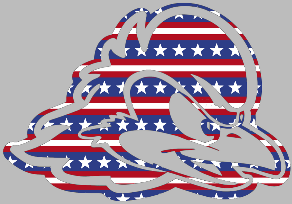 Delaware Blue Hens Team Logo Stars & Stripes USA American Flag Vinyl Decal PICK SIZE