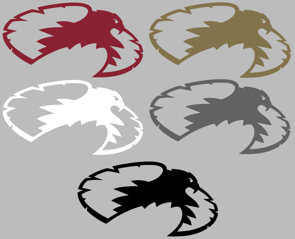 Denver Pioneers Retro Throwback Logo Premium DieCut Vinyl Decal PICK COLOR & SIZE