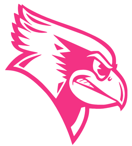 Illinois State Redbirds HOT PINK Team Logo Premium DieCut Vinyl Decal PICK SIZE
